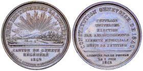 Genf, AE Medaille 1842, auf die Verfassung