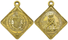 Chiasso, AE Medaille 1889, Festa di ginnastica