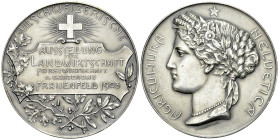 Frauenfeld, AR Medaille 1903, Landwirtschaft