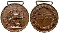 Deutschland.

 Bronzemedaille. Ohne Jahr [1849].
Felddienst-Auszeichnung. 

Vs: FÜR BADENS EHRE. Greif mit Wappenschild und Schwert nach rechts....