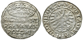 Sigismund I Old
POLSKA / POLAND / POLEN / POLOGNE / POLSKO

Zygmunt I Stary. Grosz (Groschen) 1529, Krakow / Cracow 

Herb Odrowąż między dużymi ...