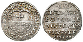 Sigismund I Old
POLSKA / POLAND / POLEN / POLOGNE / POLSKO

Zygmunt I Stary. Trojak (3 grosze / groschen) 1536, Elbląg / Elbing 
AW: Napis w sześc...