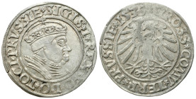 Sigismund I Old
POLSKA / POLAND / POLEN / POLOGNE / POLSKO

Zygmunt I Stary. Grosz (Groschen) 1534, Torun / Thorunesis 

Popiersie króla w czepcu...