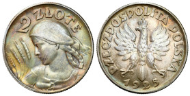 Second Polish Republic Circulation coins
POLSKA / POLAND / POLEN / POLOGNE / POLSKO

II RP. 2 zlote 1925 bez kropki po dacie, Filadelfia 

Rzadsz...