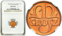 Second Polish Republic Circulation coins
POLSKA / POLAND / POLEN / POLOGNE / POLSKO

II RP. 1 grosz 1937 NGC MS67 RD (MAX) – BEAUTIFUL 

Najwyższ...