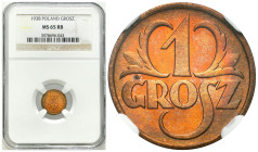 Second Polish Republic Circulation coins
POLSKA / POLAND / POLEN / POLOGNE / POLSKO

II RP. 1 grosz 1938 NGC MS65 RB (2MAX) - BEAUTIFUL 

Piękny,...