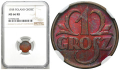 Second Polish Republic Circulation coins
POLSKA / POLAND / POLEN / POLOGNE / POLSKO

II RP. 1 grosz 1938 NGC MS66 RB (2 MAX) - BEAUTIFUL 

Druga ...