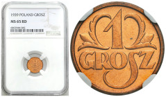 Second Polish Republic Circulation coins
POLSKA / POLAND / POLEN / POLOGNE / POLSKO

II RP. 1 grosz 1939 NGC MS65 RD - BEAUTIFUL 

Piękny, mennic...