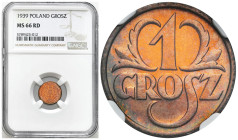 Second Polish Republic Circulation coins
POLSKA / POLAND / POLEN / POLOGNE / POLSKO

II RP. 1 grosz 1939 NGC MS66 RD (2 MAX) - WYŚMIENITY 

Druga...