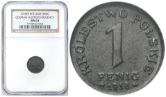 Second Polish Republic Circulation coins
POLSKA / POLAND / POLEN / POLOGNE / POLSKO

Królestwo Polskie. 1 fenig 1918 FF NGC MS64 - BEAUTIFUL 

Pi...