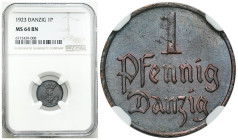 Free City of Gdansk
POLSKA / POLAND / POLEN / POLOGNE / POLSKO

Wolne Miasto Gdańsk / Danzig. 1 fenig 1923 NGC MS64 BN - BEAUTIFUL 

Piękna, czek...