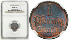 Free City of Gdansk
POLSKA / POLAND / POLEN / POLOGNE / POLSKO

Wolne Miasto Gdańsk/Danzig. 1 fenig 1937 NGC MS65 BN - BEAUTIFUL 

Wysoka nota gr...