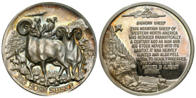 Canada
Canada. Medal. Bighorn Sheep, Silver 

Owca kanadyjska gruboroga.Na rancie nabity numer 046.Kolorowa patyna.

Details: 33,86 g Ag 40 mm
C...