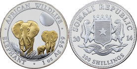 Somalia, 100 Schillings 2014, Munich
