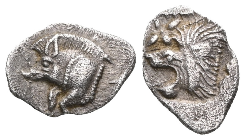 Greek coins
Mysia, Cyzicus
Obol circa 450 AR. Forepart of boar l., behind, tun...