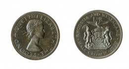 Rhodesia & Nyasaland 
Elizabeth II (dal 1952) - Proof Set 1955 - Serie completa di 7 valori da Half Penny a Half Crown (Krause n. PS2) 300,00