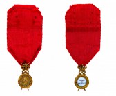 Italy
Regno d’Italia - Vittorio Emanuele II (1861-1878) - Medaglia in oro per la VIII Legislatura della Camera dei Deputati al nome di Carlo Fraccacr...