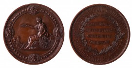 Foreigner Countries
Stati Uniti - International Centennial Exhibition Award Medal, Philadelphia 1876 - Opus H. Mitchell - Diametro mm.75 e peso gr. 2...