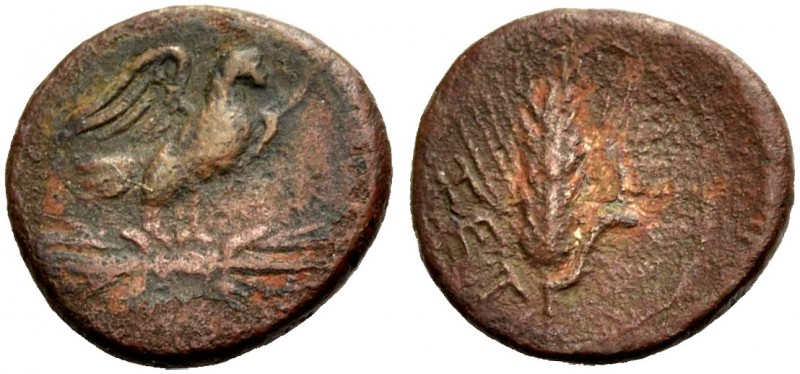 APULIEN. AZETIUM. Bronze, 300-255 v. Chr. Adler mit offenen Schwingen n. r. auf ...