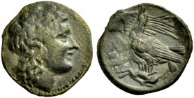 SIZILIEN. AKRAGAS. Bronze, 279-241 v. Chr. Kopf des Apollon n. r. Rv. Zwei Adler n.l., einen Hasen kröpfend. 4,25 g. Calciati I, 211,125. Winterthur 5...