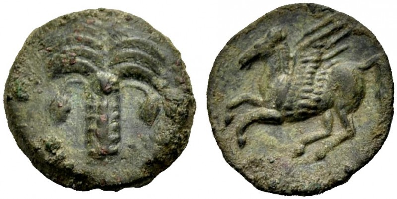 SIZILIEN. SIKULOPUNIER. Bronze, 330-320 v. Chr. Palme. Rv. Pegasos n.l. fliegend...