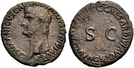 KAISERZEIT. Germanicus Caesar, Vater des Caligula, gest. 19 n. Chr. As, postum unter Caligula 39-40. Barhäuptige Büste n.l. Rv. C CAESAR DIVI PRON AVG...