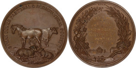 Australia. Peak Downs Æ Medallion for Best Ewe in the Pastoral and Agricultural Show. 1879.