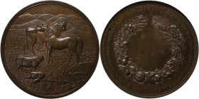 Australia. South Australia Æ Medallion. 1880.