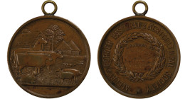 Australia. Albury & Border Æ Show Medal. 1910.