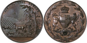 Great Britain/ Colonial. Victoria Æ Medal for Agriculture Reward. Circa 1878-1887.