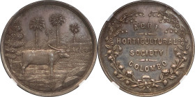 Ceylon. Colombo, Agri Horticultuiral Society AR Medallion. Circa 1890-1900.