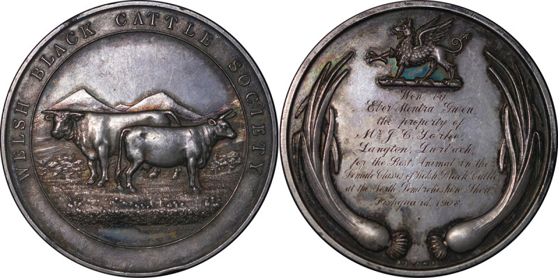 Great Britain. North Pembrokeshire AR Welsh Black Cattle Society Award Medal. 19...