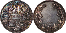GREAT BRITAIN. Stratford & East AR Fanciers Society Medal. 1909.