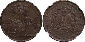 New Zealand, Christchurch. Milner & Thompson CU Penny Token. 1881.