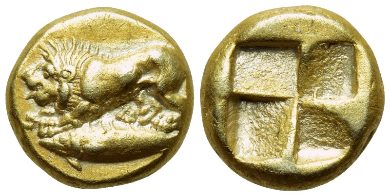MYSIA. Kyzikos. EL Hekte (Circa 550-470 BC). 

Obv: Lion at bay left on tunny ...