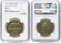 Republic gold "African Wild Dog" 250 Kwacha 1979 MS67 NGC, KM20, Fr-1. Mintage: 455. Conservation series. A relatively low mintage piece with ample br...