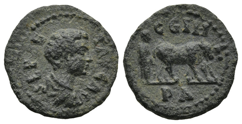 MYSIA. Parium. Geta, Caesar (AD 198-209)
AE Bronze (15,6mm 1,9g)
Obv: SEP GETA...