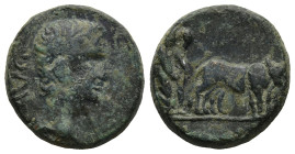 MACEDON. Philippi. Augustus (27 BC-AD 14)
AE Bronze (16,6mm 4,8g)
Obv: AVG. Bare head to right
Rev: Two priests ploughing, right
SNG Cop 282; RPC ...