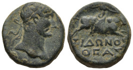 PHOENICIA. Sidon. Hadrian (AD 117-138)
AE Bronze (21mm 10,4g)
Obv: Laureate head of Hadrian, right
Rev: ΣΙΔΩΝΟΣ ΘΕΑΣ, ΗΚΣ (in r. field). Europa on ...