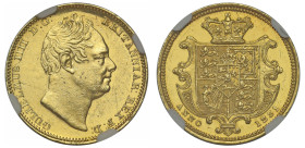 PF Details | William IV 1831 gold proof Half-Sovereign Plain Edge