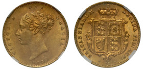 MS61 | Victoria 1871 gold Half-Sovereign die number 69 coarse beading shield with dot