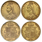 Victoria gold Half-Sovereigns (2): 1891, high and low shields