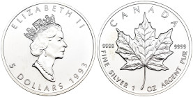 Canada - Elizabeth II (1952-2022) - 5 Dollars 1993 - Mint: Ottawa - Ag .999 - KM# 187

SPEDIZIONE IN TUTTO IL MONDO - WORLDWIDE SHIPPING

FDC