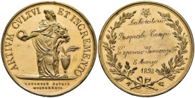 Regno d'Italia - Umberto I (1878-1900) - Medaglia 1893 - Artium Cultui et Incremento, 5 Marzo 1893 - gr. 43,52 - 47 mm

SPEDIZIONE SOLO IN ITALIA - ...