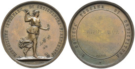 Firenze - Medaglia 1874 - Esposizione Internazionale di Orticultura Firenze 1874 - Società Toscana di Orticultura, Annullata - AE - gr. 29,33 - 38 mm ...