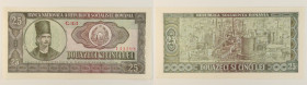 Romania - banconota 25 Lei 1966 - prefisso numero seriale ampio - P#95a(2)

SPEDIZIONE IN TUTTO IL MONDO - WORLDWIDE SHIPPING

VF