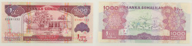 Somaliland - banconota 1000 Shillings 2014 - P#20c

SPEDIZIONE IN TUTTO IL MONDO - WORLDWIDE SHIPPING

UNC