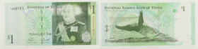 Tonga - banconota 1 Pa'anga 2009 - P#37

SPEDIZIONE IN TUTTO IL MONDO - WORLDWIDE SHIPPING

UNC
