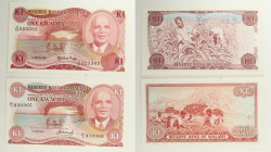 Malawi - Lotto di 2 banconote: 1 Kwacha ND (1976-1988) P#14 - 1 Kwacha ND (1986-1988) P#19

SPEDIZIONE IN TUTTO IL MONDO - WORLDWIDE SHIPPING

UNC