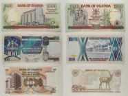Uganda - Lotto di 3 banconote: 1000 Shillings 1991 P#34 - 100 Shillings 1994 P#31 - 10 Shillings 1979 P#11

SPEDIZIONE IN TUTTO IL MONDO - WORLDWIDE...